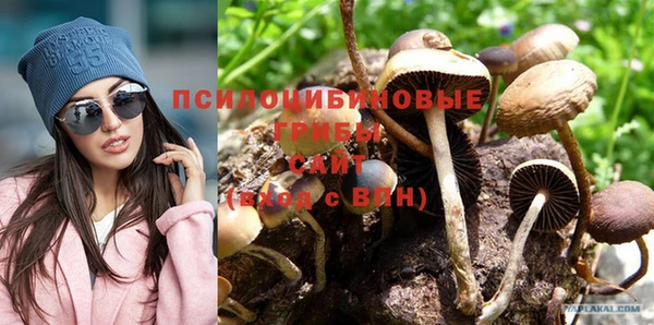трава Заводоуковск