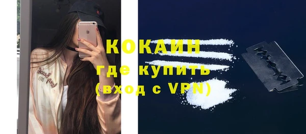 ПСИЛОЦИБИНОВЫЕ ГРИБЫ Заволжье