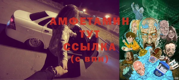 ПСИЛОЦИБИНОВЫЕ ГРИБЫ Заволжье