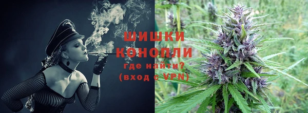 трава Заводоуковск