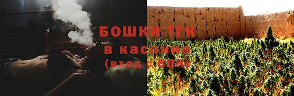 ПСИЛОЦИБИНОВЫЕ ГРИБЫ Заволжье