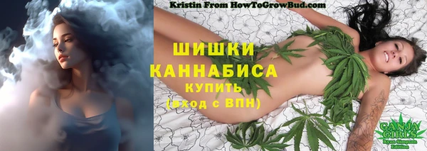 метадон Заволжск