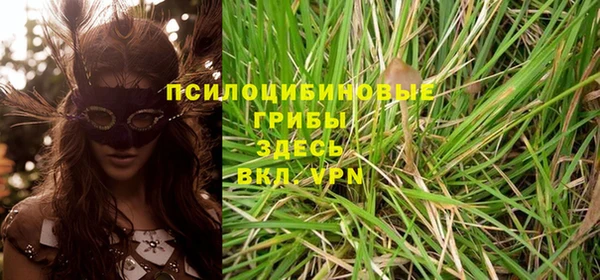 метадон Заволжск