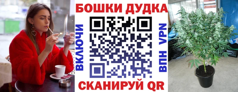 Купить закладки  Астрахань  МАРИХУАНА гибрид 